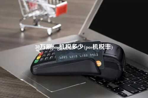 30万刷pos机税多少(pos机税率)