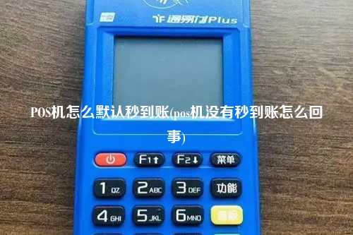 POS机怎么默认秒到账(pos机没有秒到账怎么回事)