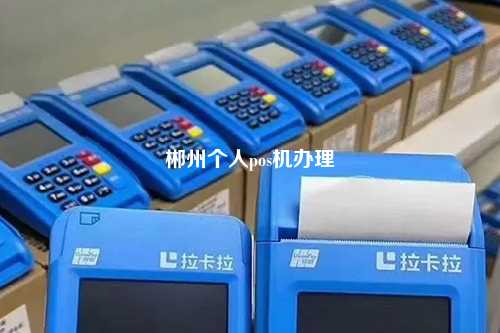 郴州个人pos机办理