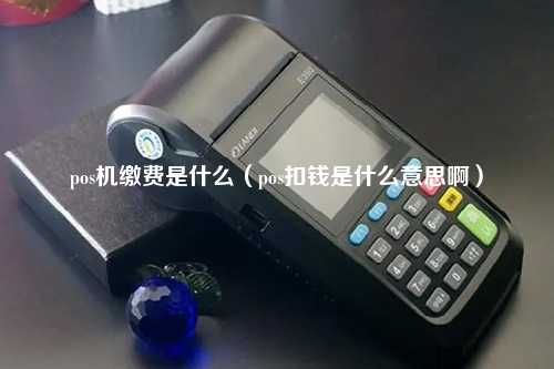 pos机缴费是什么（pos扣钱是什么意思啊）
