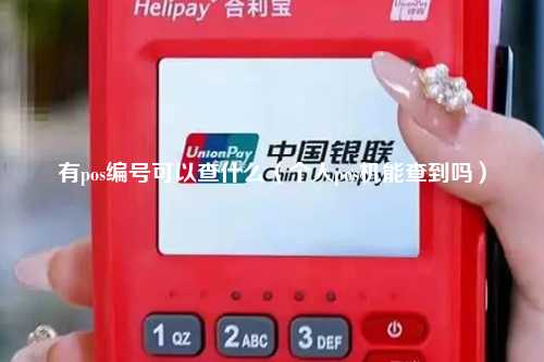 有pos编号可以查什么（个人pos机能查到吗）