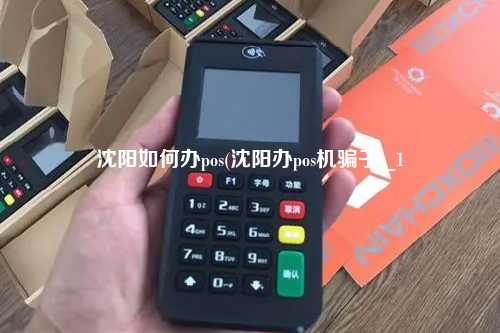 沈阳如何办pos(沈阳办pos机骗子)_1