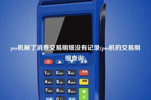 pos机刷了消费交易明细没有记录(pos机的交易明细查询)