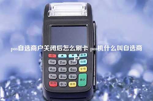 pos自选商户关闭后怎么刷卡 pos机什么叫自选商户