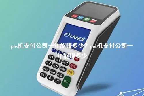 pos机支付公司一年能赚多少？pos机支付公司一年能赚多少