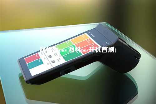 海科海pos(海科pos开机首刷)