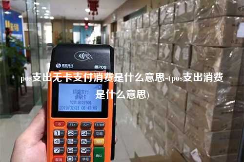 pos支出无卡支付消费是什么意思-(pos支出消费是什么意思)