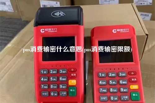 pos消费输密什么意思(pos消费输密限额)