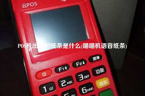 POS机出来的纸条是什么(喵喵机语音纸条)