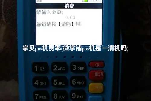 掌贝pos机费率(微掌铺pos机是一清机吗)