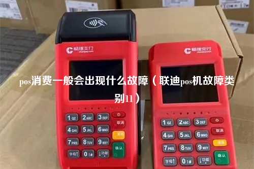 pos消费一般会出现什么故障（联迪pos机故障类别11）