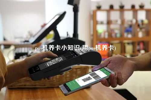 pos机养卡小知识(用pos机养卡)