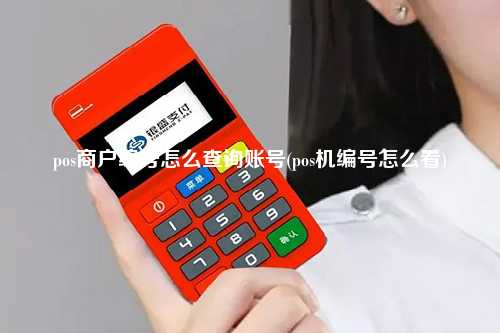 pos商户编号怎么查询账号(pos机编号怎么看)