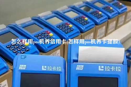 怎么样用pos机养信用卡(怎样用pos机养卡提额)