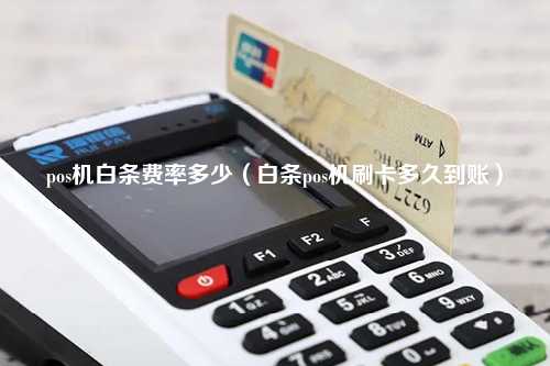 pos机白条费率多少（白条pos机刷卡多久到账）