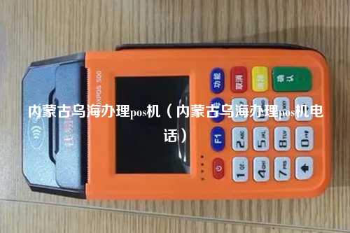 内蒙古乌海办理pos机（内蒙古乌海办理pos机电话）