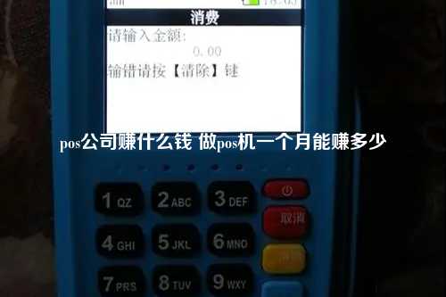 pos公司赚什么钱 做pos机一个月能赚多少
