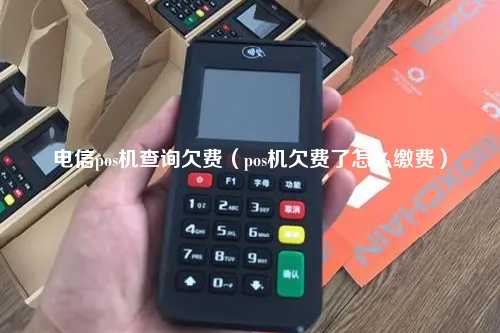 电信pos机查询欠费（pos机欠费了怎么缴费）