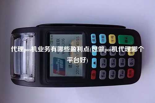 代理pos机业务有哪些盈利点(想做pos机代理哪个平台好)