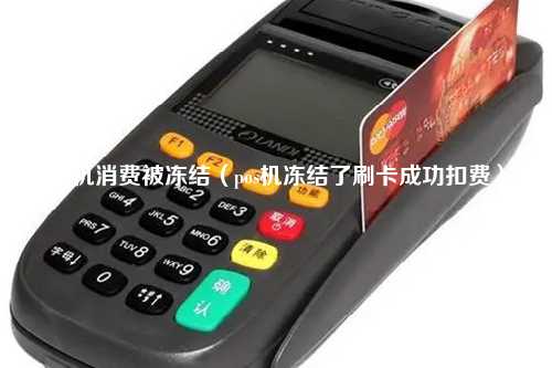 pos机消费被冻结（pos机冻结了刷卡成功扣费）