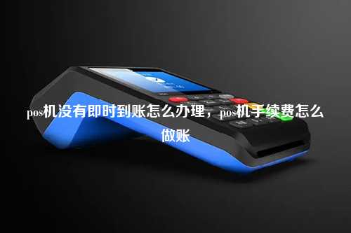 pos机没有即时到账怎么办理，pos机手续费怎么做账