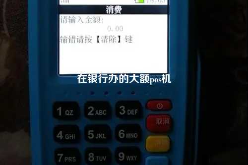 在银行办的大额pos机