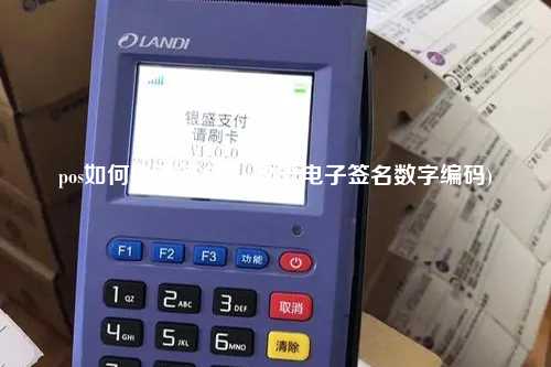 pos如何电子签名(pos刷卡电子签名数字编码)