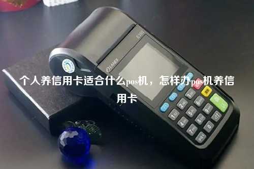 个人养信用卡适合什么pos机，怎样办pos机养信用卡