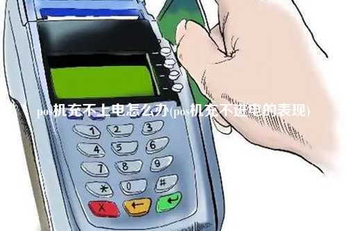 pos机充不上电怎么办(pos机充不进电的表现)