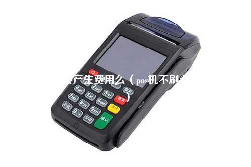 pos机不刷会产生费用么（pos机不刷卡能支付吗）